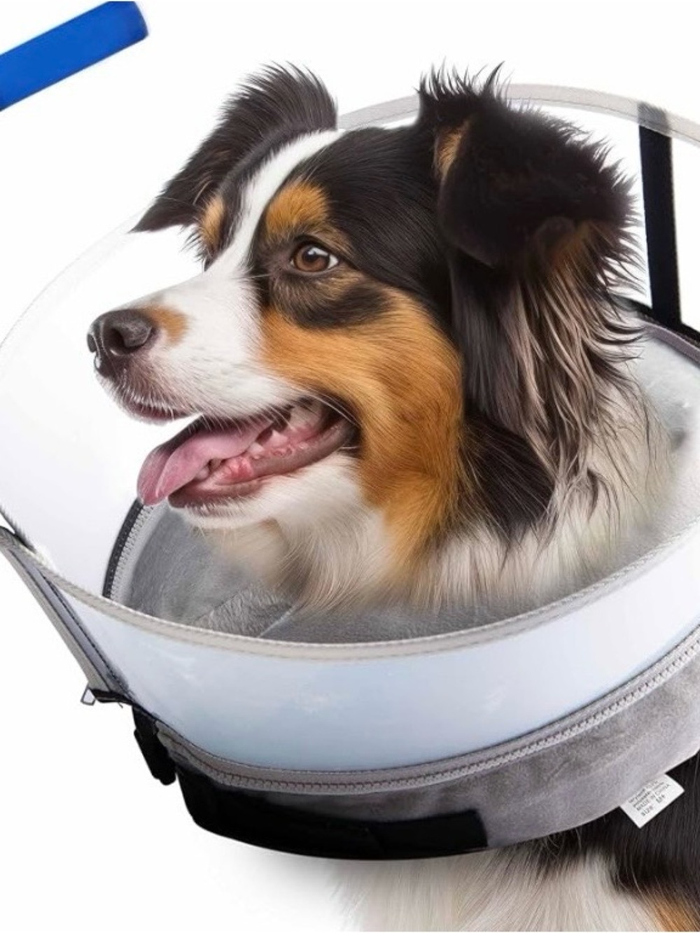 Pet Recovery Cone for Dogs - White